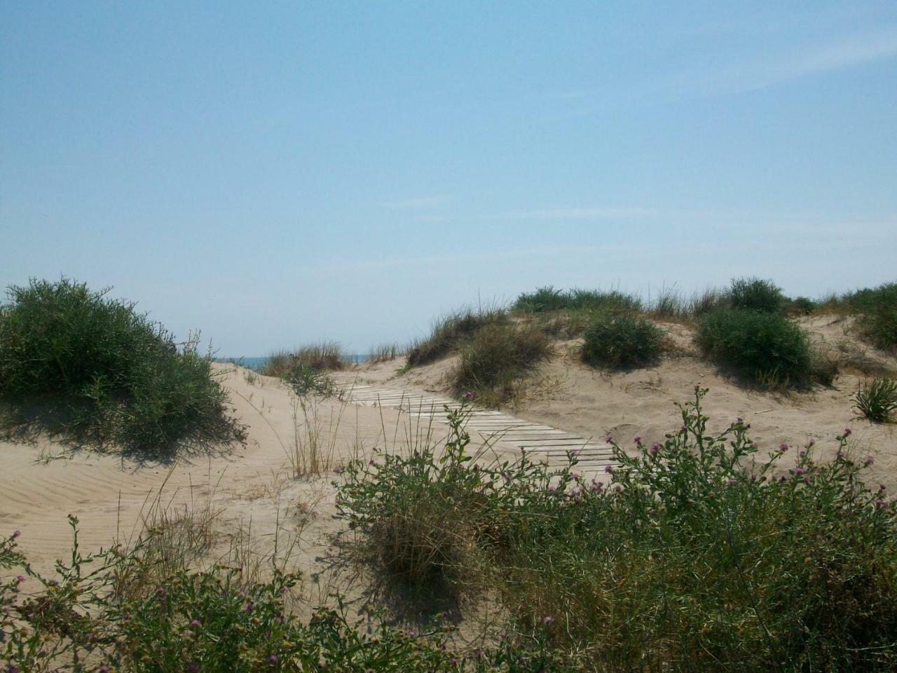 Neptuno Apartamento - Frente A La Playa ไดมุซ ภายนอก รูปภาพ
