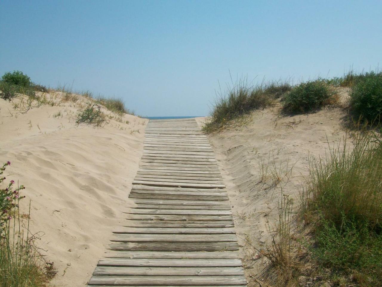Neptuno Apartamento - Frente A La Playa ไดมุซ ภายนอก รูปภาพ
